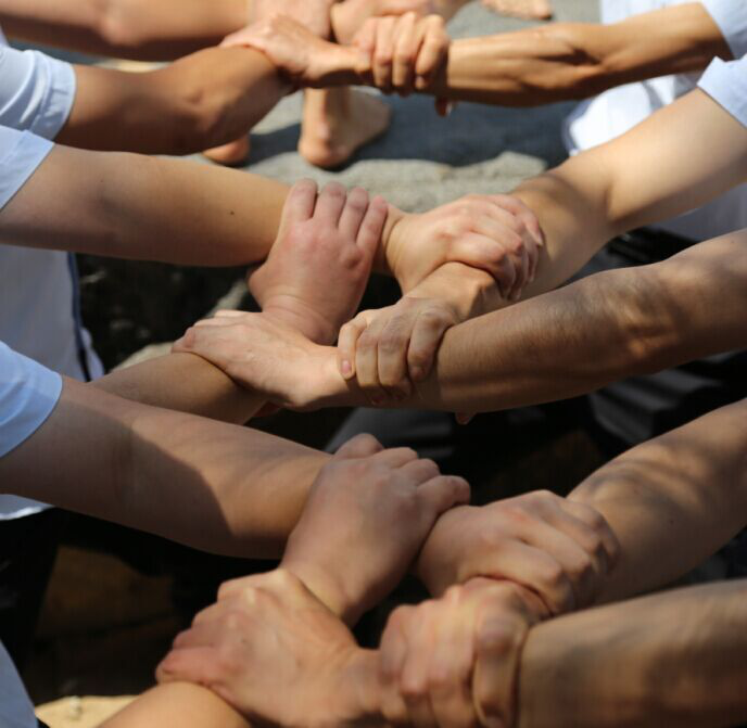 艾拓瑞戶外拓展 一次性馬桶蓋